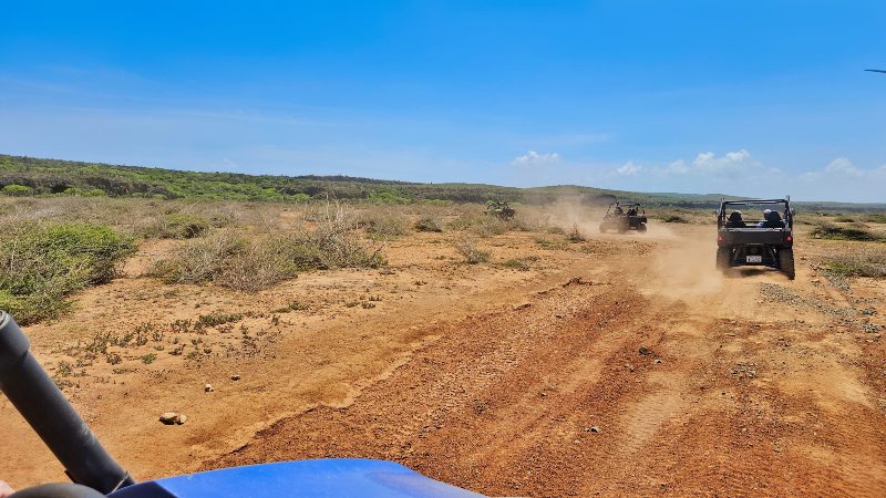 Buggy tour Off-Road 'Go West' (Vá para o Oeste) 10 buggy curacao hato vlakte stof 800x450 1