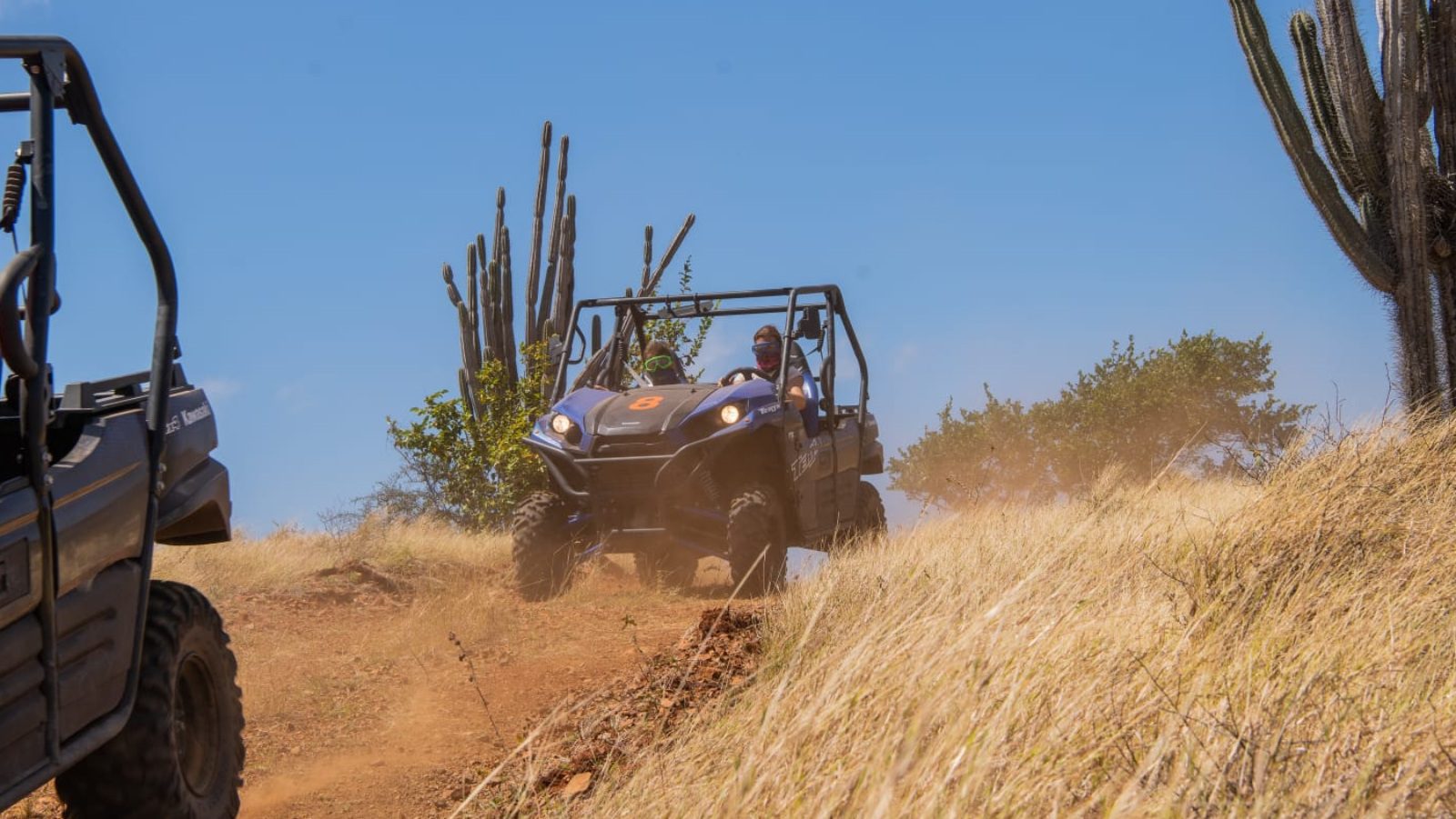 Buggy Curacao Offroad Tour