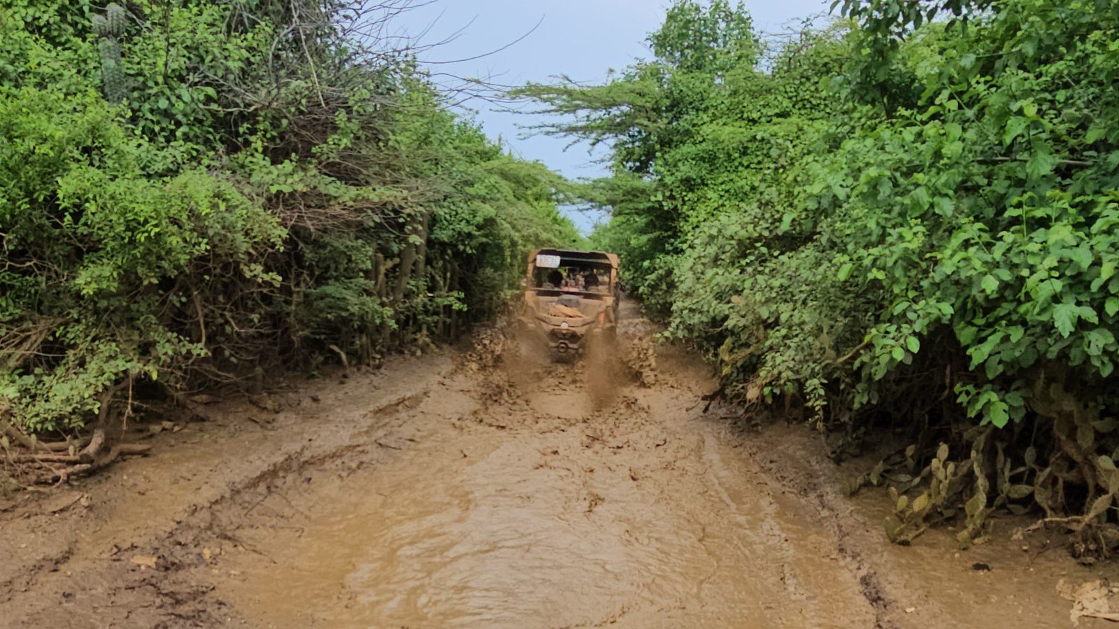 buggy tour Go West Curacao