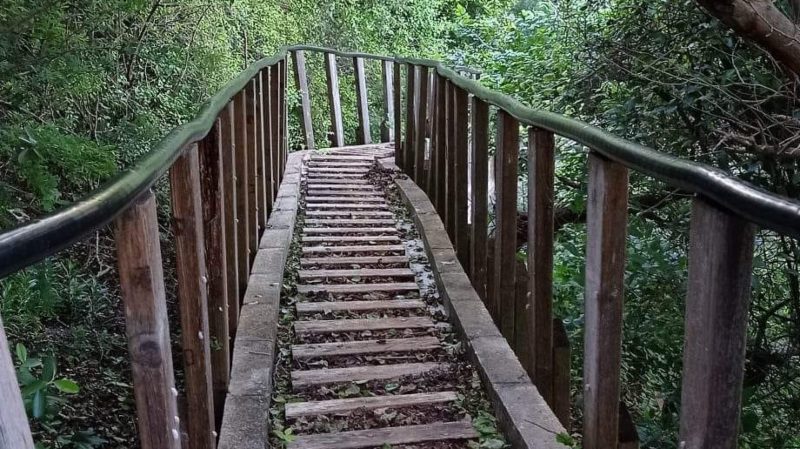 ingrid hiking tour grotten tera kora 800x450 1