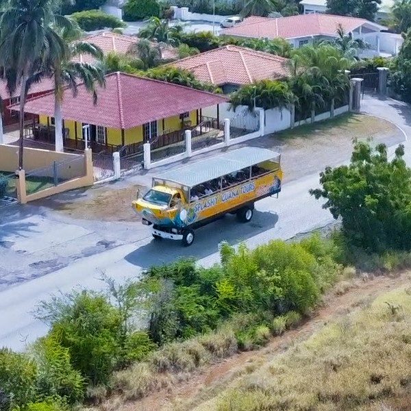 Splashy Curacao busboot