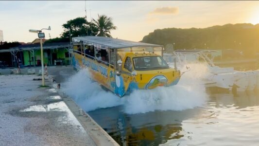 busboot curacao splashy iguana