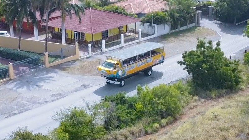 busboot splashy iguana amfibiebus curacao 800x450 1