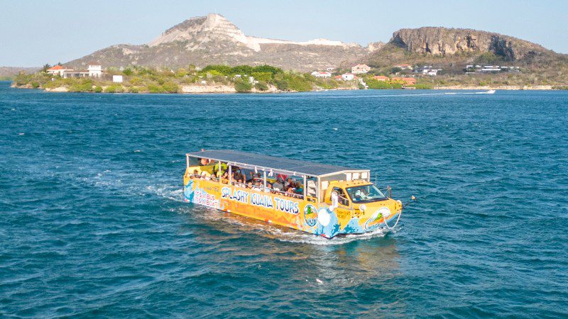 Splashy Iguana busboot tour Curacao
