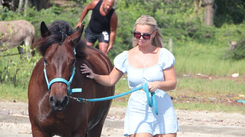 wandelen paarden curacao 800x450 1