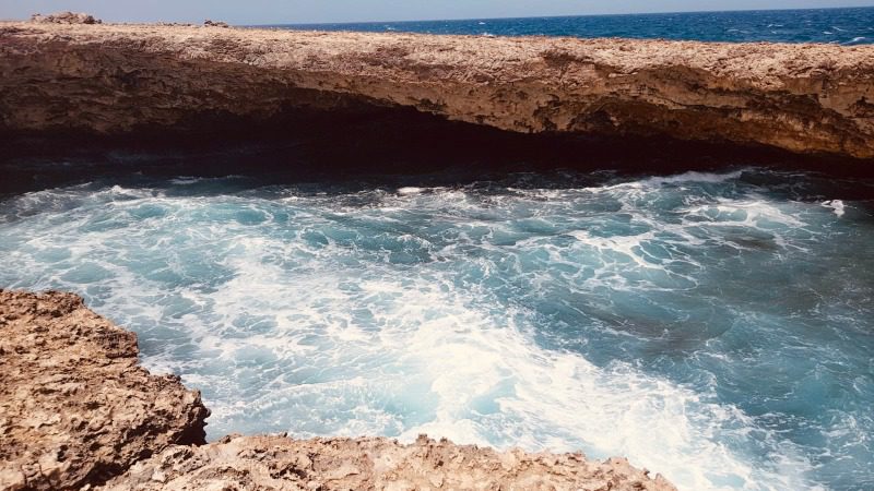 Boka Wandomi 800x450 1