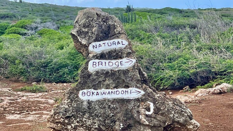 Rots Natural Bridge boka wandomi 800x450 1