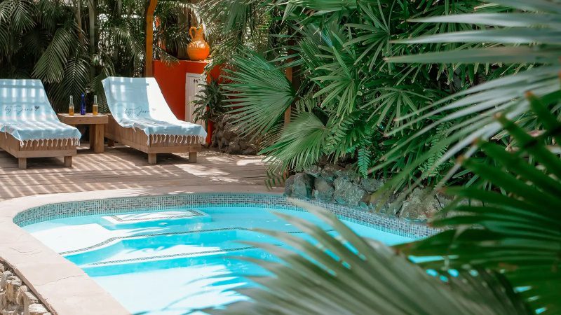 Kas di Laman zwembad Curacao (By June)