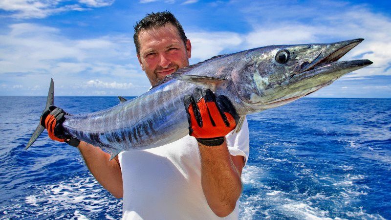 pesca marítima curaçao pesca em alto mar