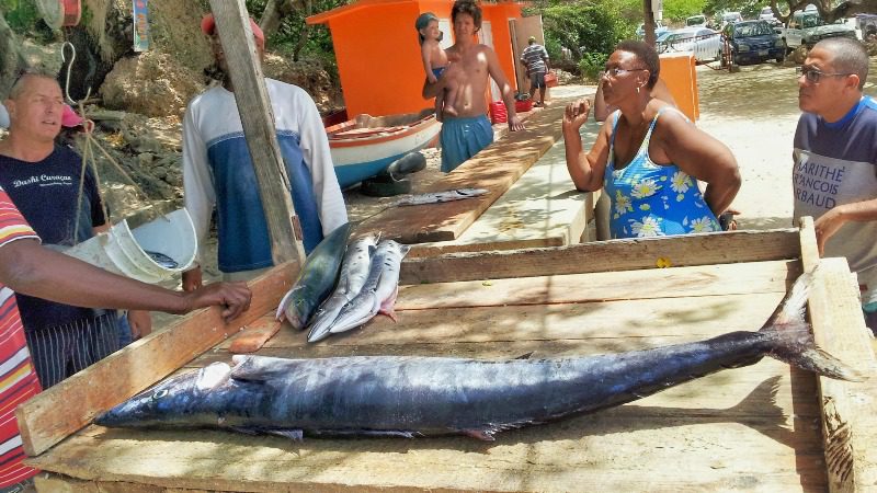 Playa Lagun Curacao visverkoop 800x450 1