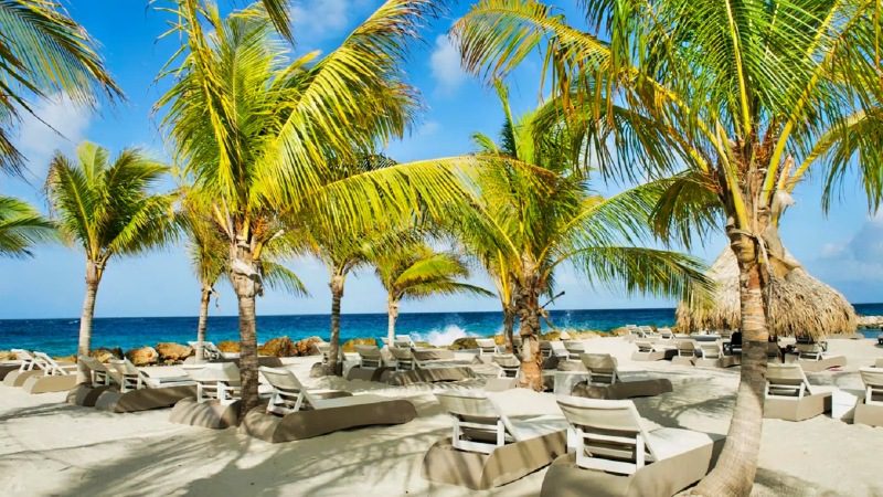 livingstone Jan Thiel strand 800x450 1