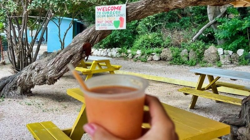 playa lagun curacao batido 800x450 1