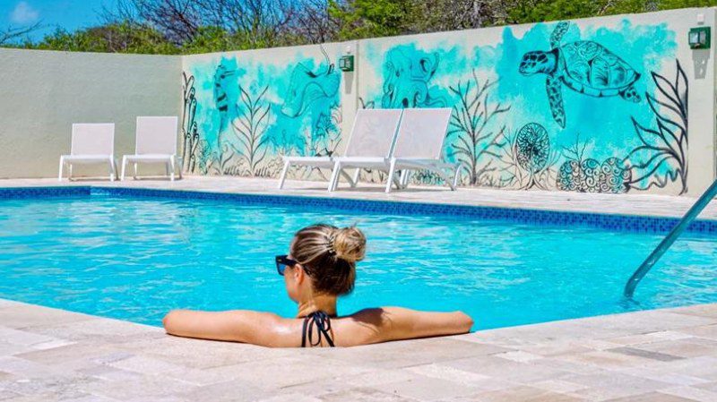 curacao-lionsdive-beach-resort Last Minute Curacao Dream of the Green Flamingo