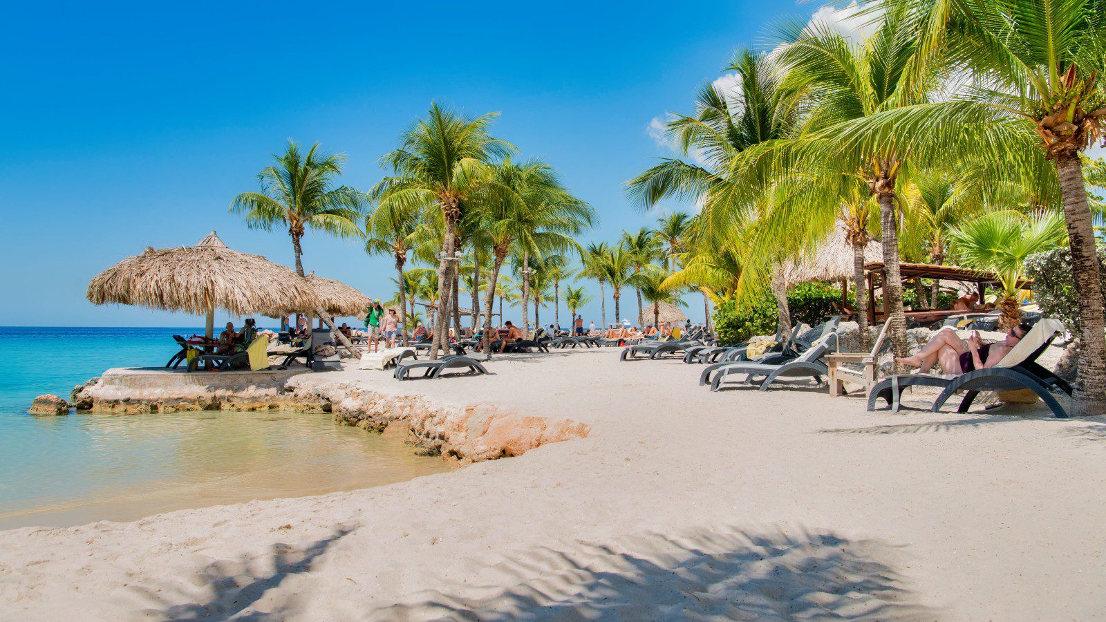 zonvakantie curacao tui
