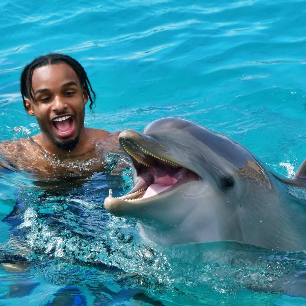 Dolfijnen op Curacao 3 Dolphin Swim Curacao