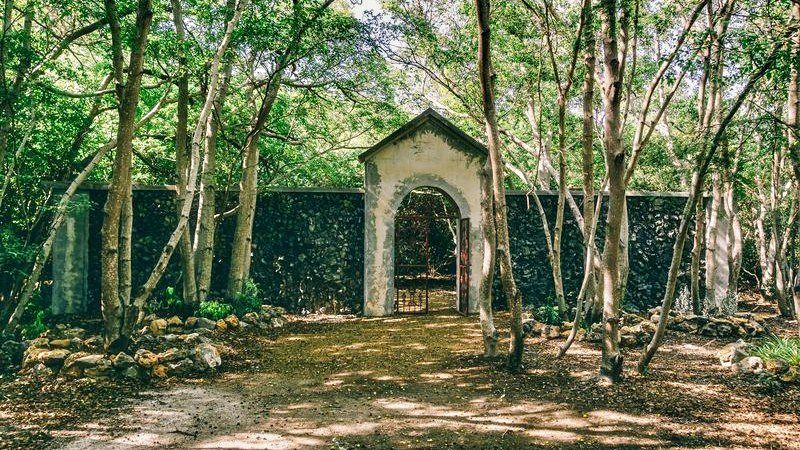 Hofi Mango Curacao vrijheidsmuur 800x450 1