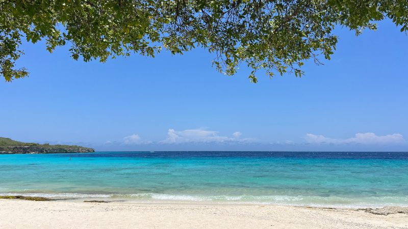 porto marie strand beach curacao varkens 800x450 1