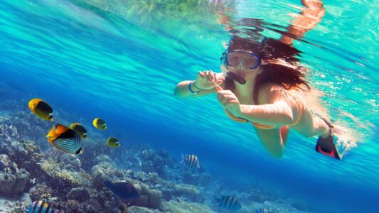 Snorkeltrips Curacao 37 Snorkel Curacao beste trips