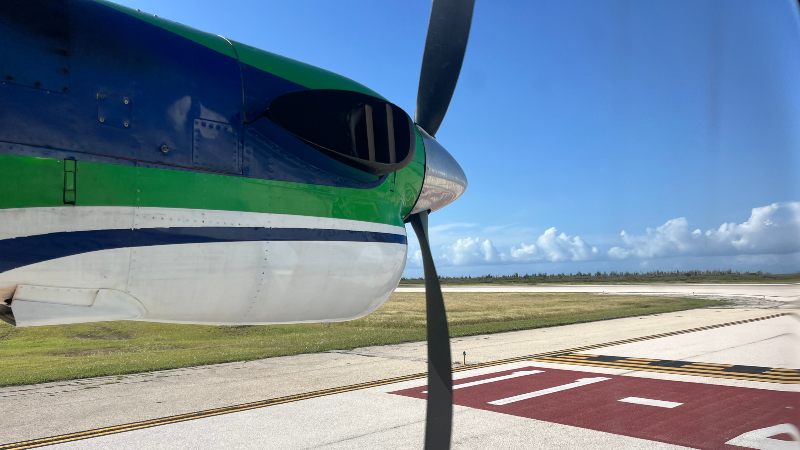 Dividivi op landingsbaan Bonaire 800x450 1