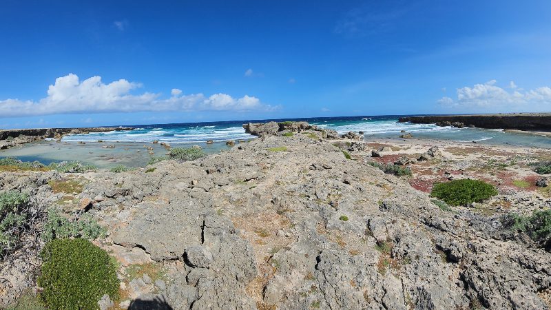 curacao noordkust boot buggy bbq tour 800x450 2