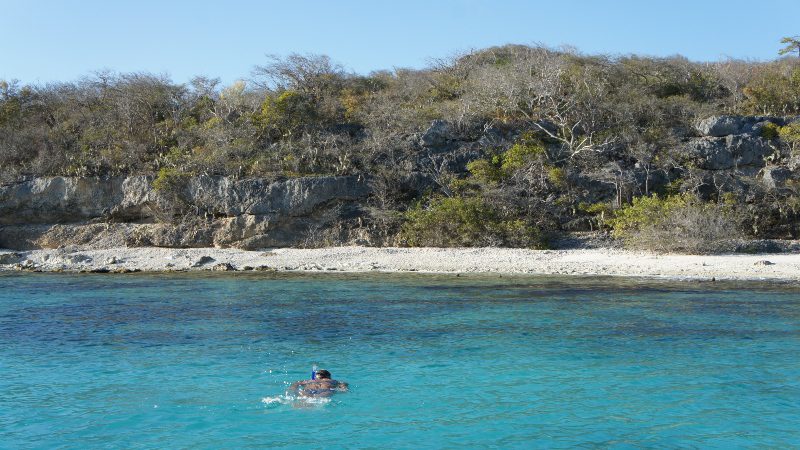 curacao snorkeltrip kleinschalig banda abou tours 800x450 1