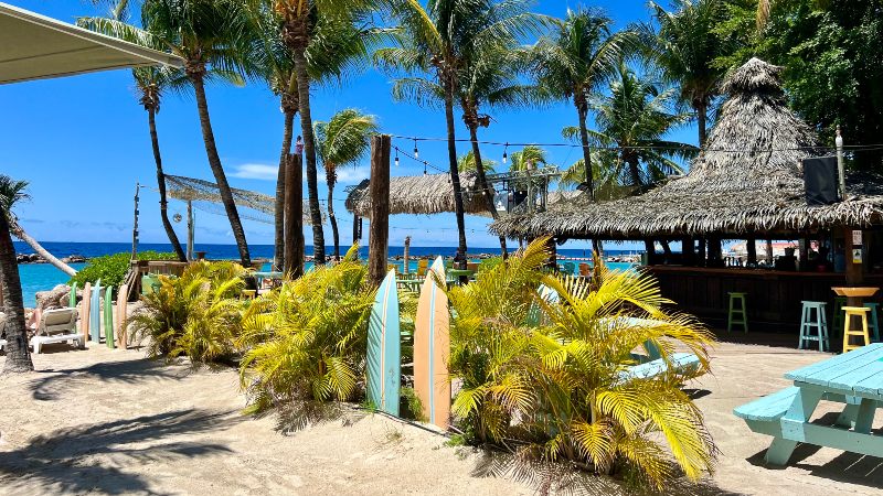 mambo beach curacao wet wild beach bar 800x450 1