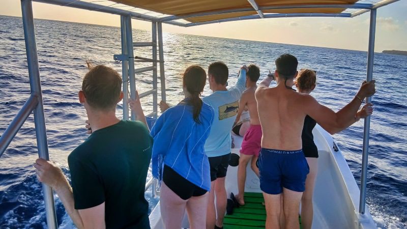 noord zuidkust boot buggy tour blue room 800x450 1