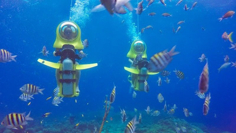 Snorkeltrips Curacao 8 Aquafari Curacao snorkelen