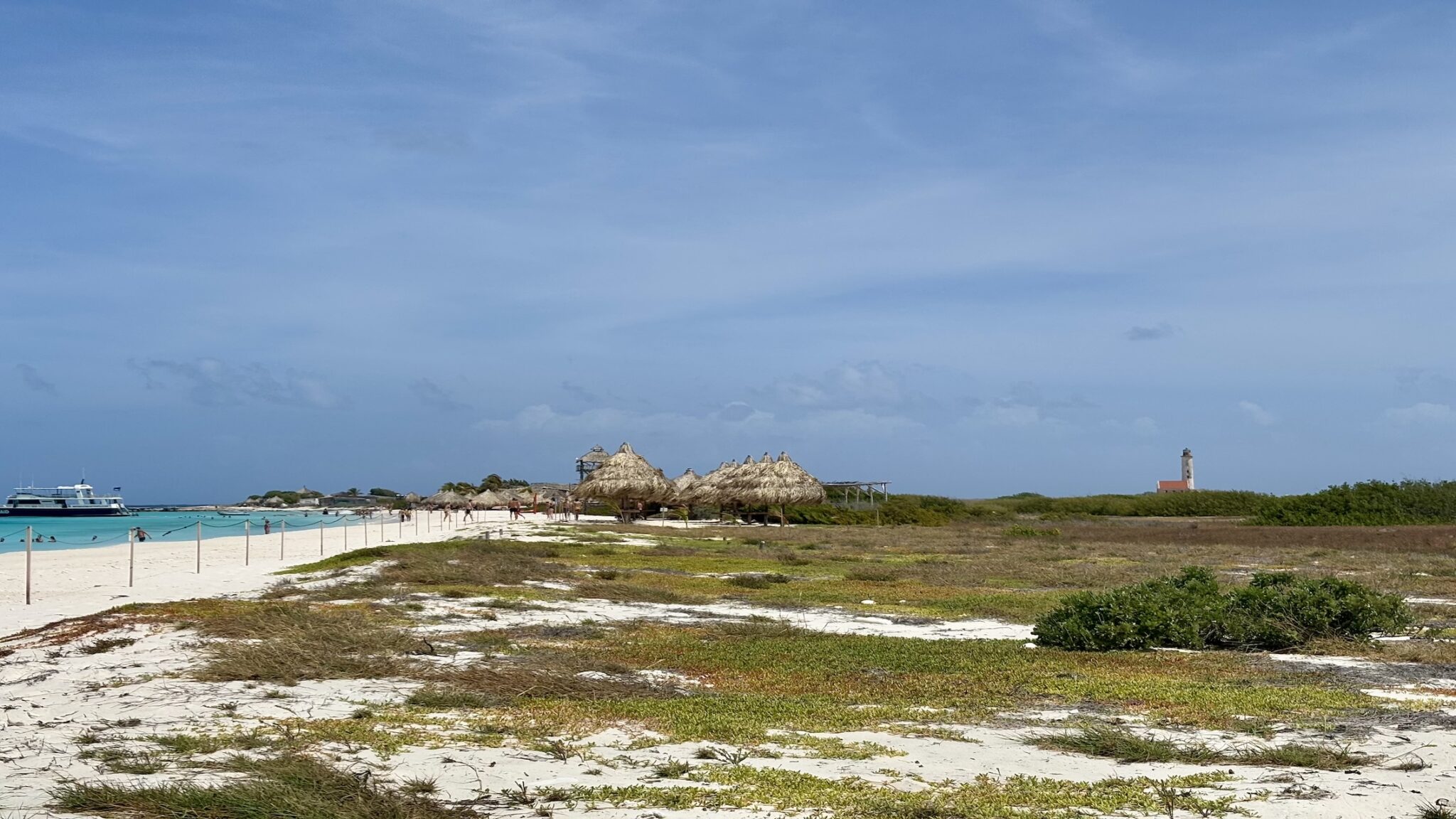 Begroeing en vuurtoren H scaled