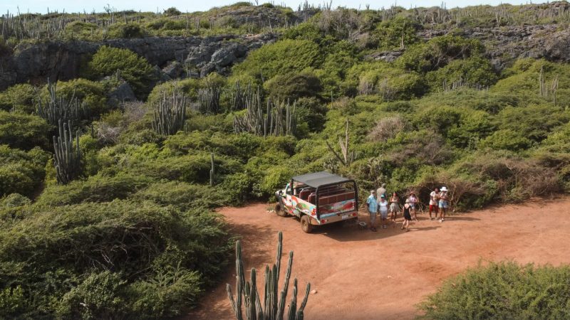 Curaçao Jeep Safari: Grot, Kunuku en Porto Mari 8 curacao jeep safari offroad north coast 800x450 1