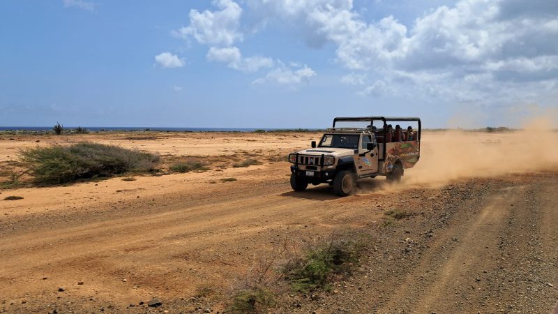 Curaçao Jeep Safari: Grot, Kunuku en Porto Mari 4 jeep safari curacao vlakte san pedro 800x450 1