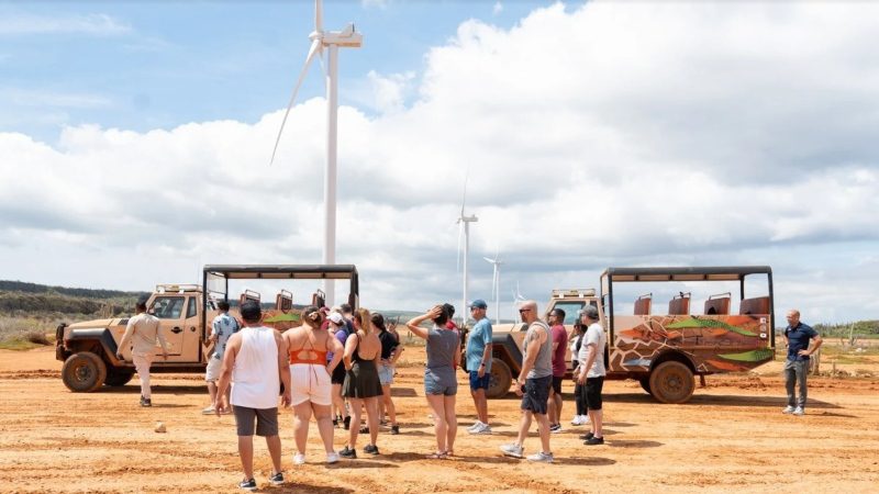 Curaçao Jeep Safari: Grot, Kunuku en Porto Mari 5 jeep safari curacao windmills 800x450 1