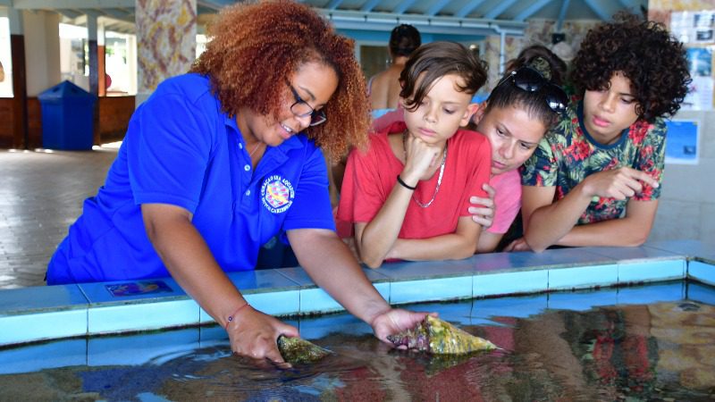 Sea Aquarium Park  Curaçao kinderen