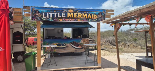 Little Mermaid