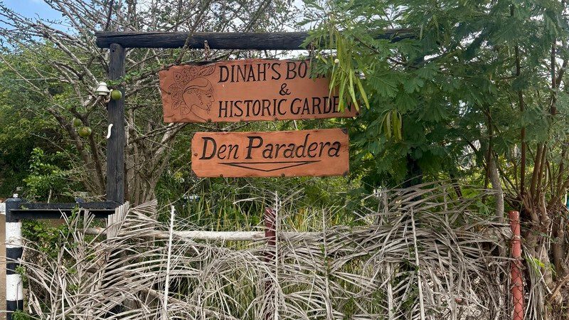 Met de jeep naar de oostkant van Curaçao: van botanische tuin tot off-road avontuur 5 Rondleiding in Dinah’s Botanical & Historic Garden tijdens de jeeptour oostkant Curaçao