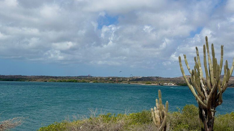 Met de jeep naar de oostkant van Curaçao: van botanische tuin tot off-road avontuur 7 Kitesurfers voor de kust bij Koraal Tabak, oostkant van Curaçao