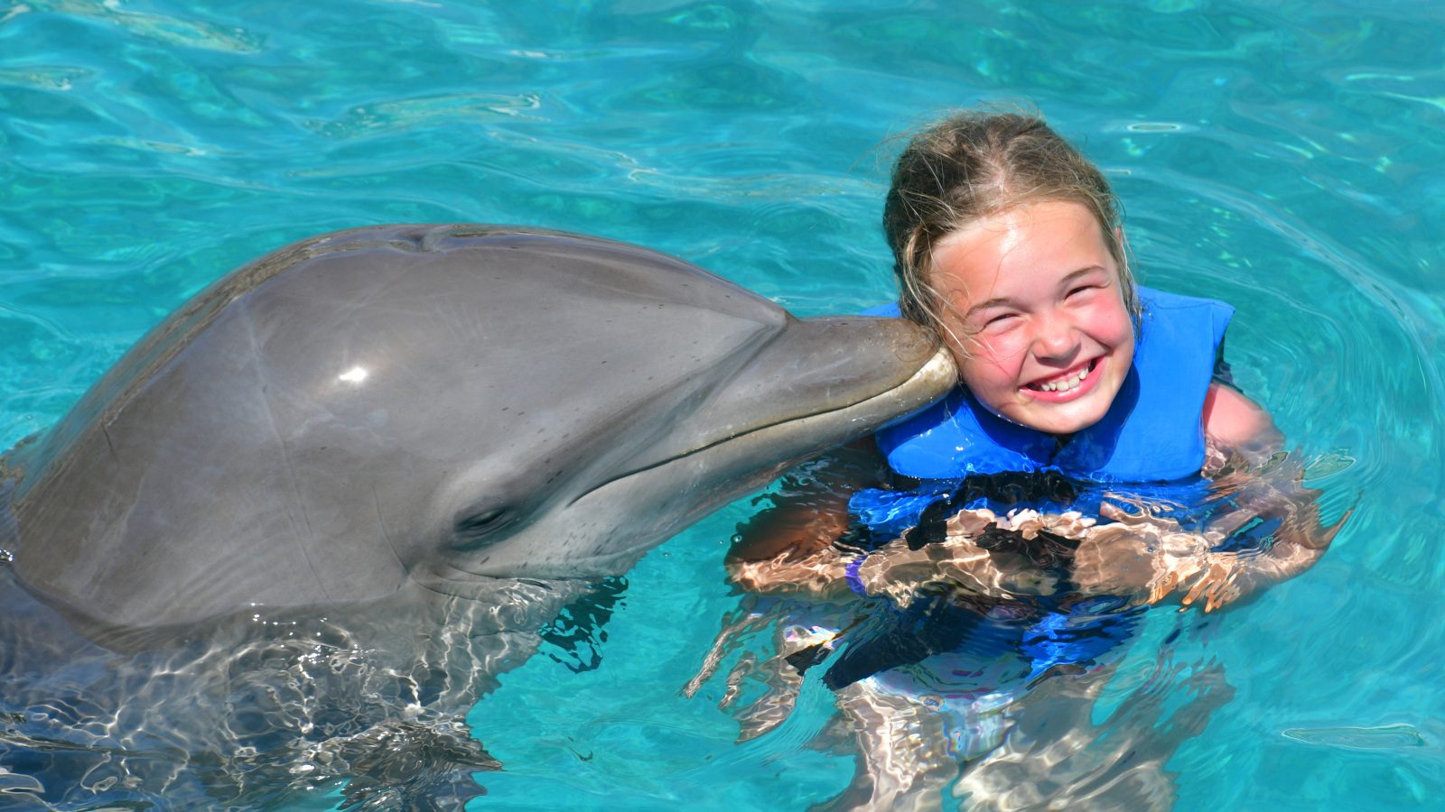 Dolfijnen met kinderen op Curaçao: welke ervaring bij welke leeftijd? 4 dolfijnen met kinderen op Curaçao